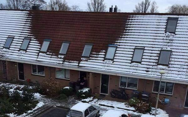 Netherlands Grow House