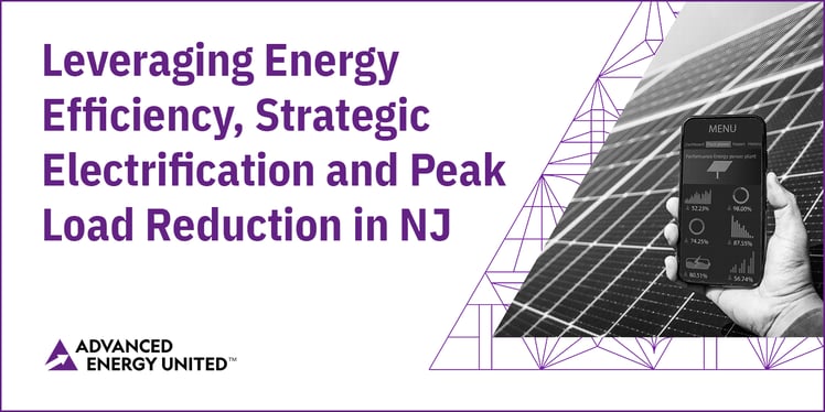 Leveraging Energy Efficiency, Strategic Electrification and Peak Load Reduction in NJ