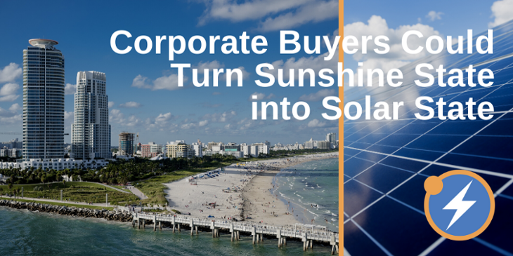 Florida Buyers solar-730