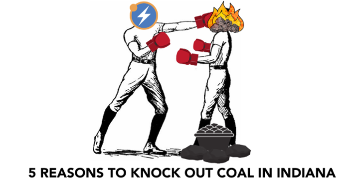 Indiana Coal Boxing-730